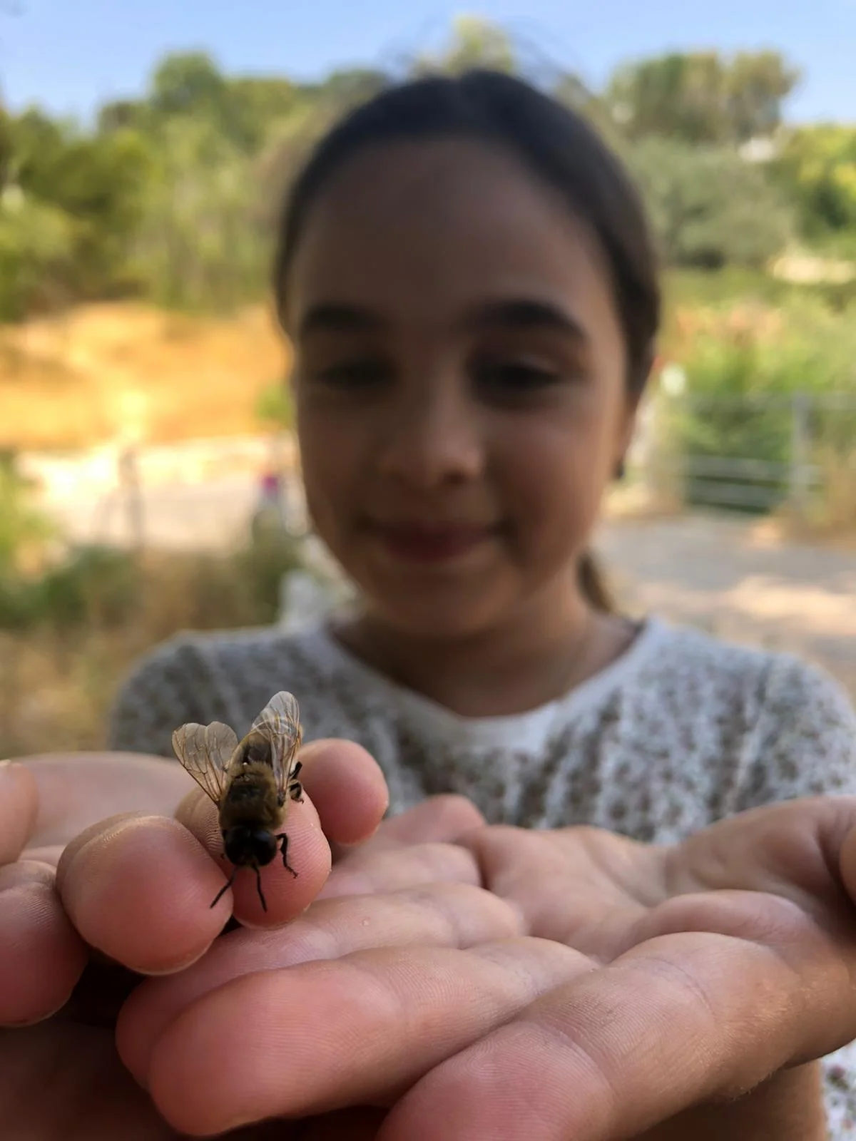 A child gently holding a honeybee on their fingertip