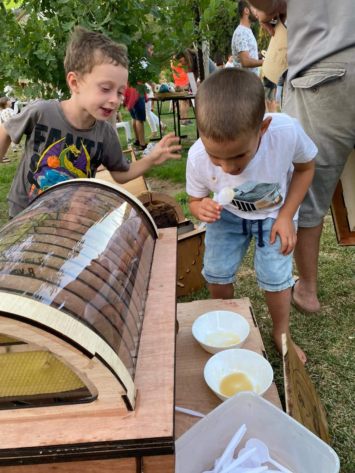 Children tasting fresh honey beside an open Ivry-B hive
