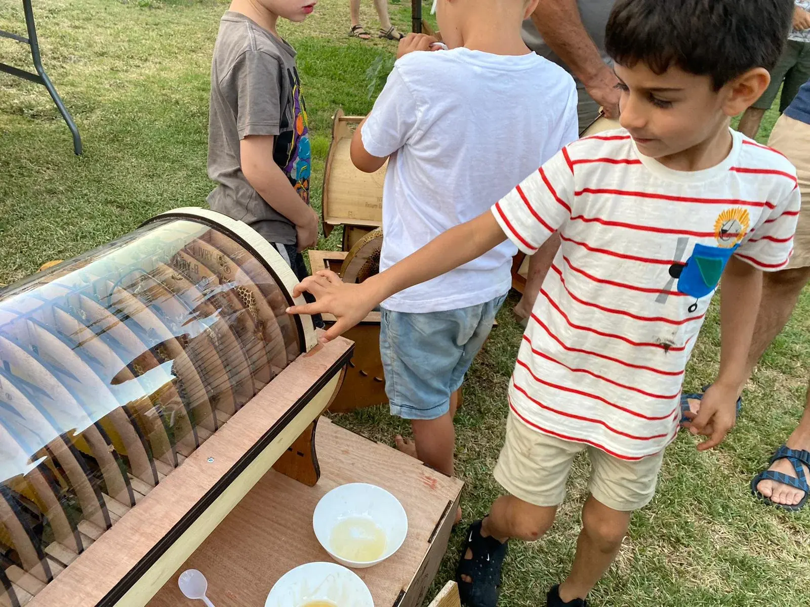 Schoolchildren gathered around a transparent Ivry-B hive