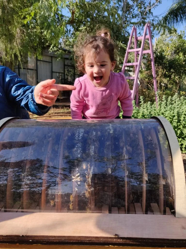 A young child pointing excitedly at bees behind the hive window