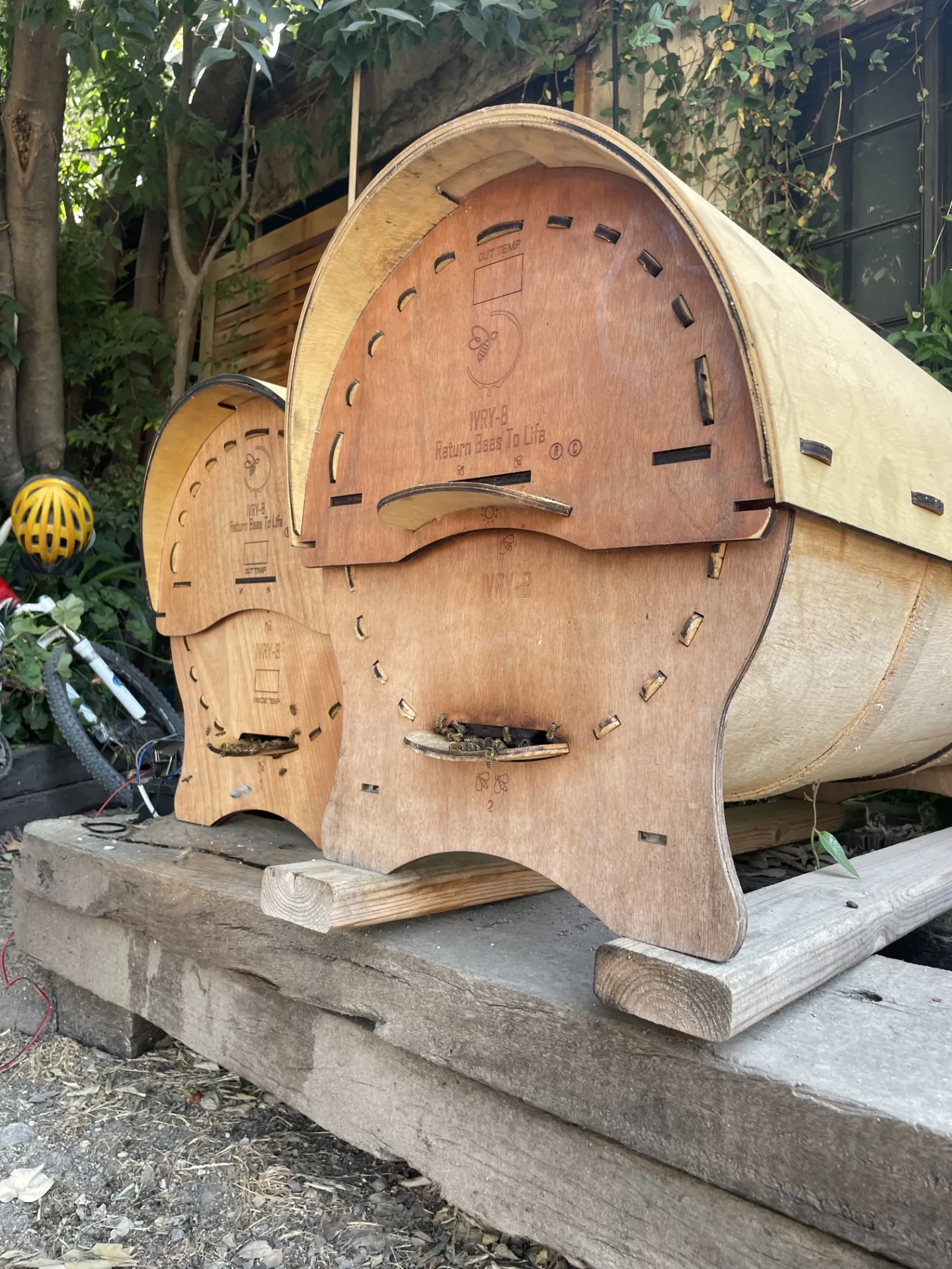 Two Ivry-B hives side by side with bees at the entrance